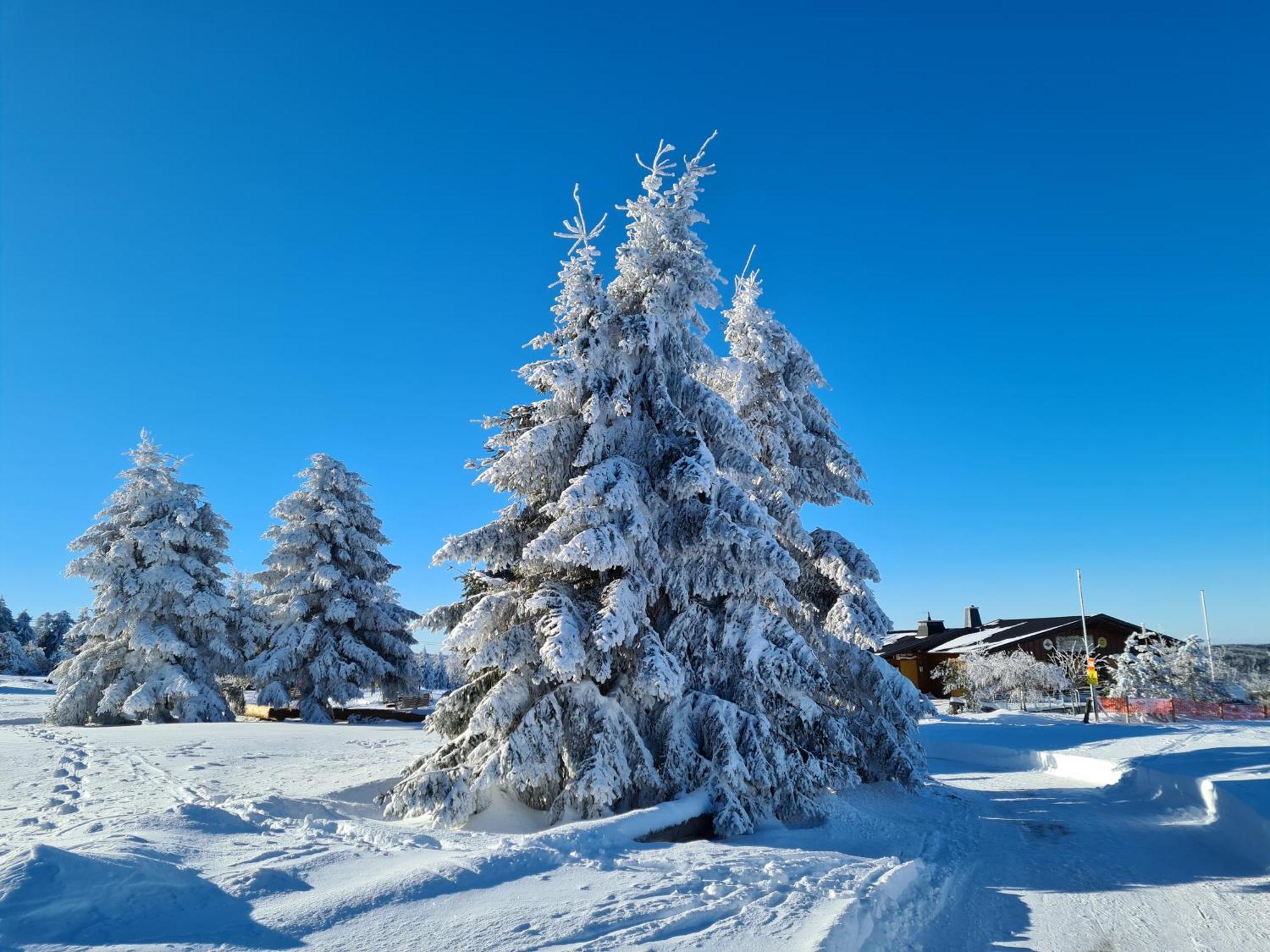 Hotel & Ferienappartements Edelweiss Willingen  Luaran gambar